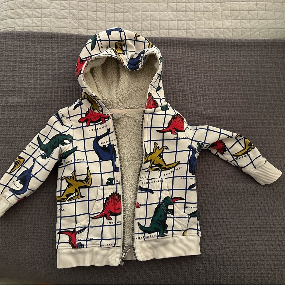 Hanna Andersson Dinosaur Print Shearling Hoodie 2T
